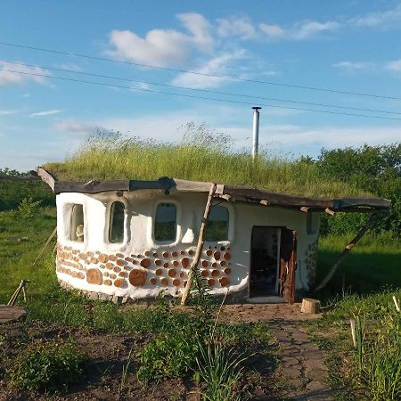 Сказочный Дом Villa Buki  Exterior photo